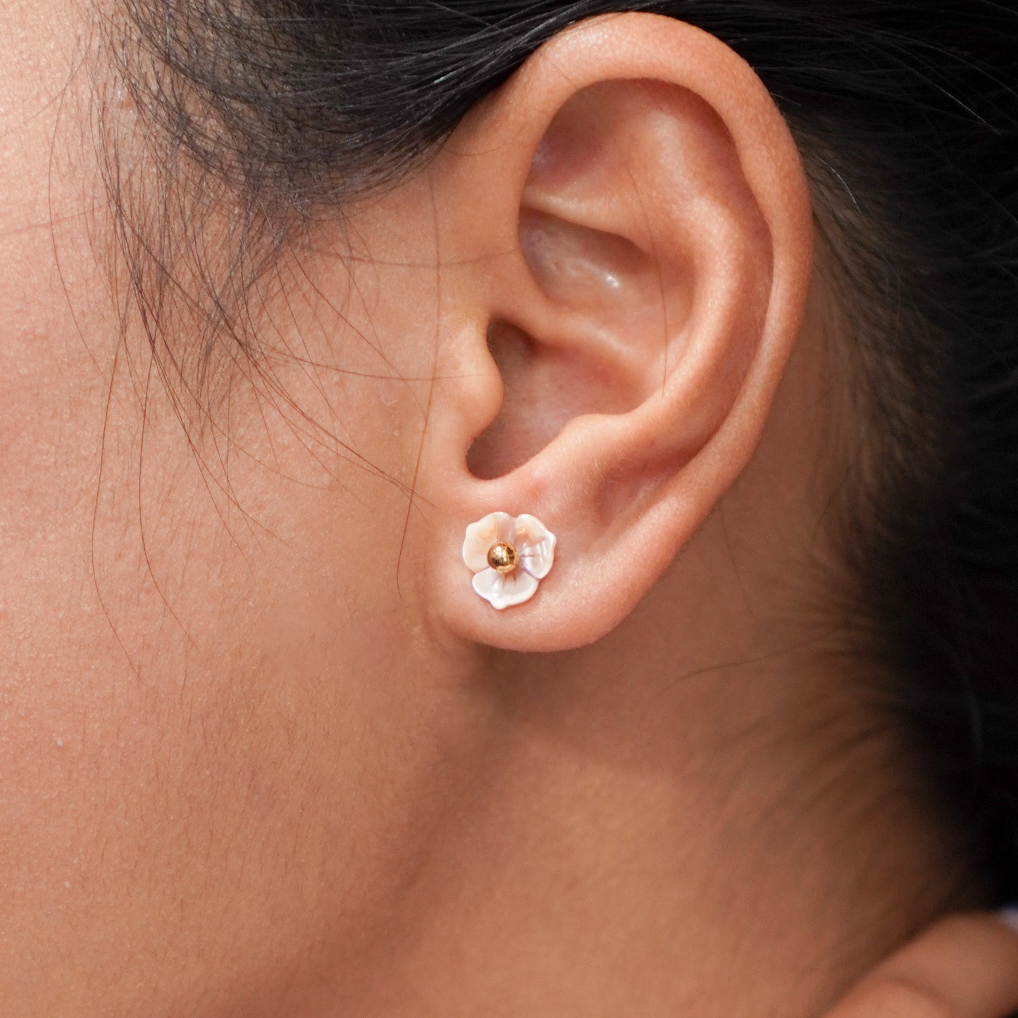 Begonia Studs