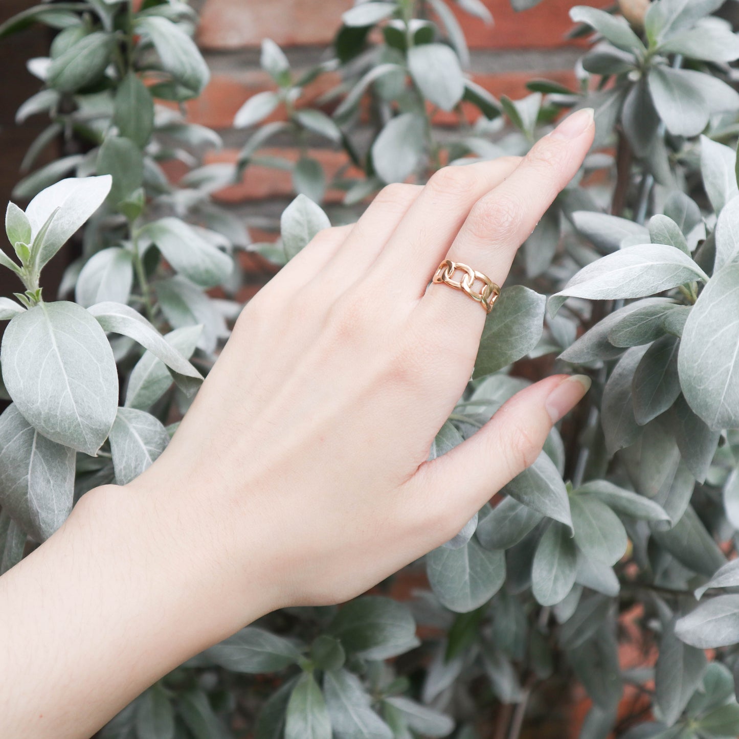 Chain Ring
