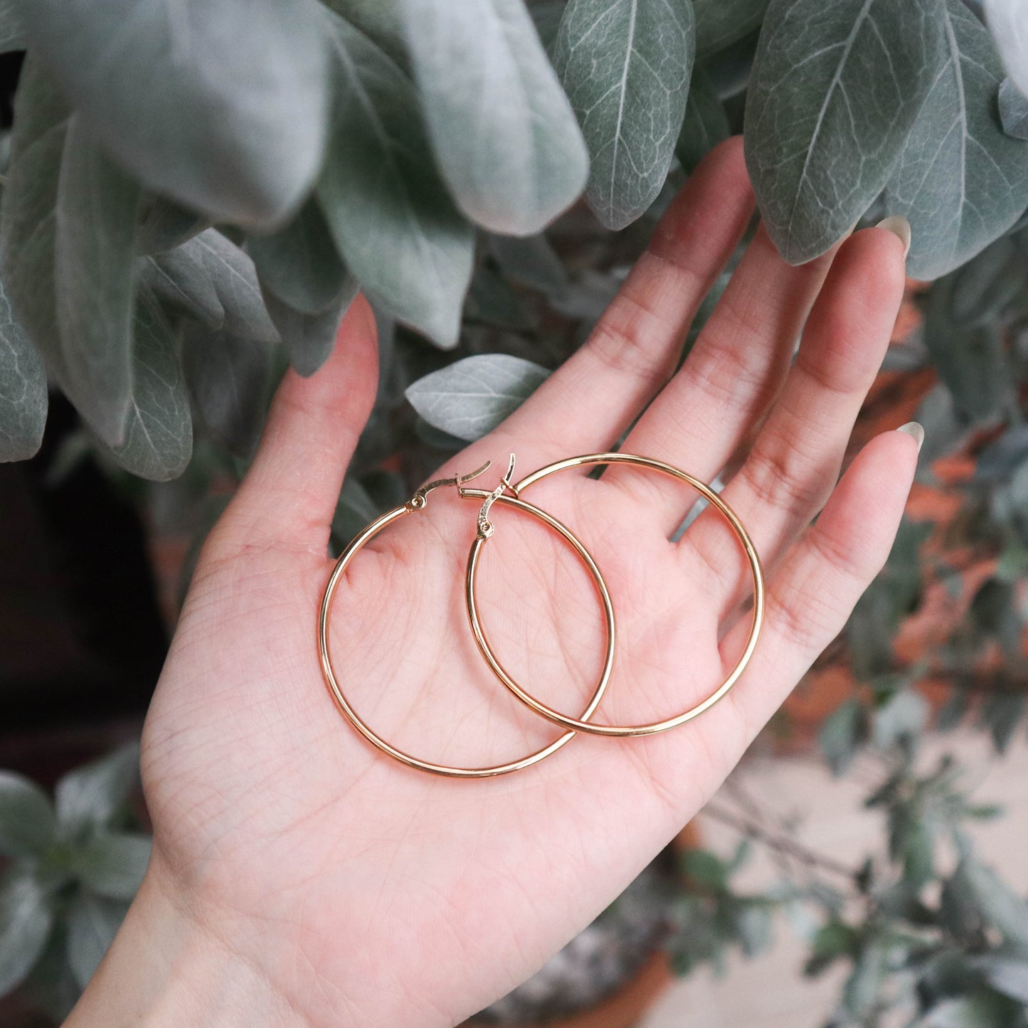 Giant Hoops