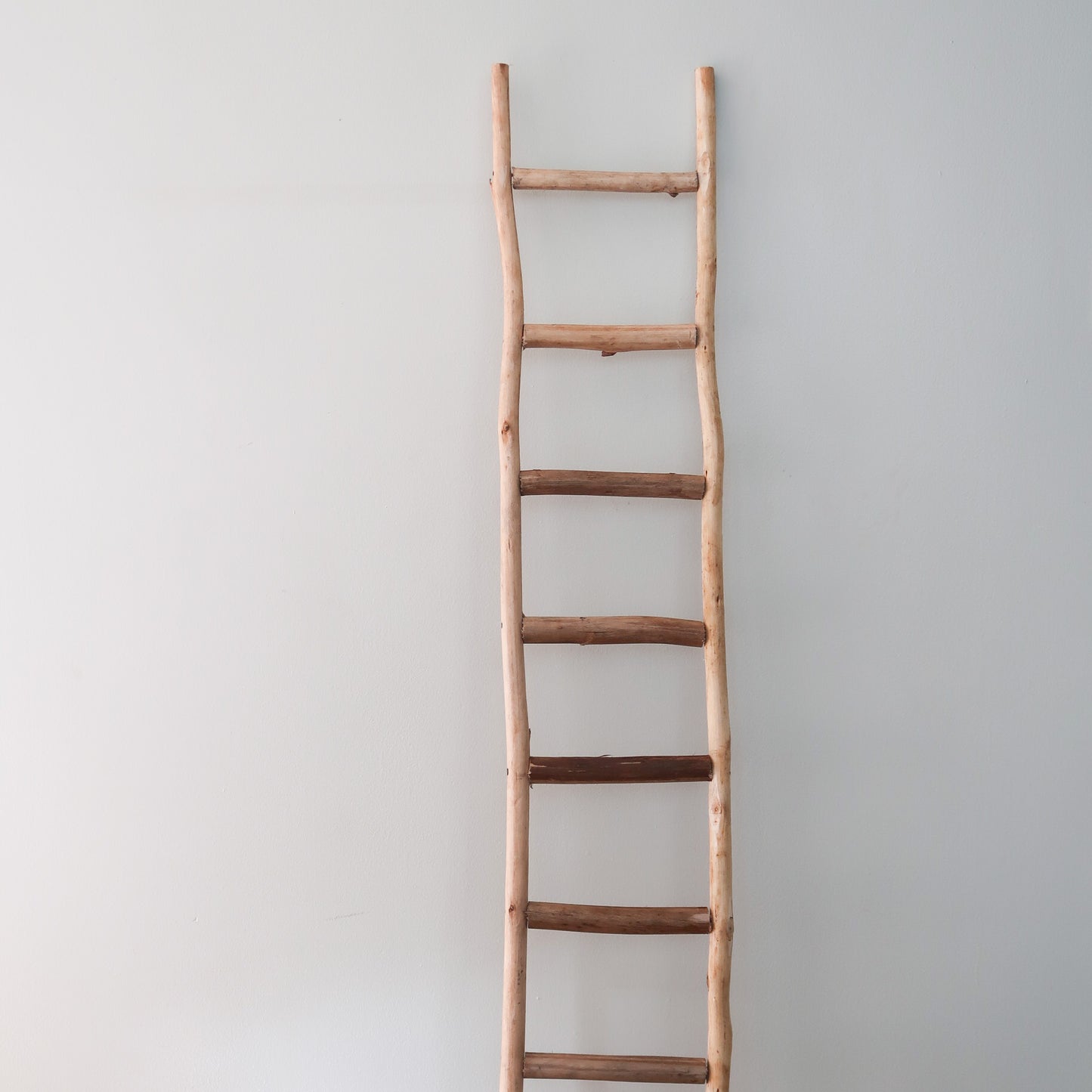 Natural Ladder Display